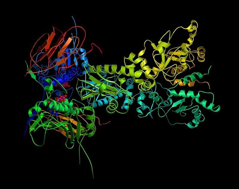 一个复杂的蛋白质结构 —— 预测蛋白质如何折叠是一个 NP 问题（NP-problem）